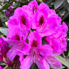 23-06-03 16-40-05 5791